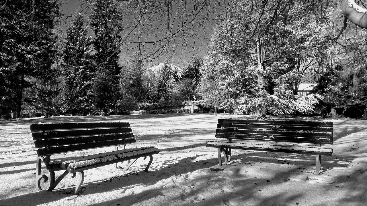 Žiema, Parkas, Žiemos Peizažas, Italy, Medžiai, Sniegas, Vista, Kraštovaizdis, Šaltas, Suolai