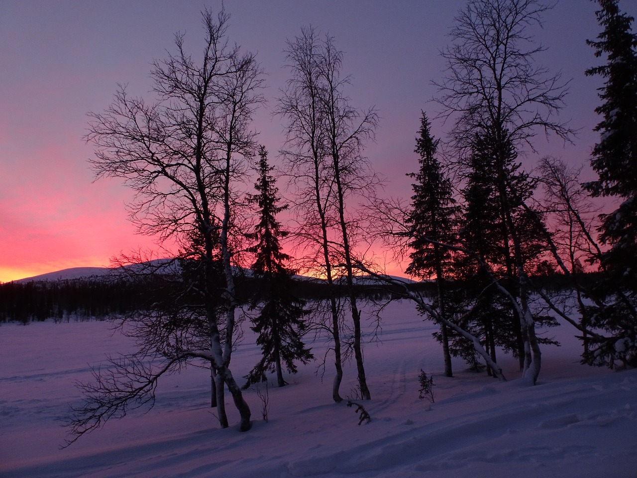 Žiema, Finland, Laplandas, Snieguotas, Kraštovaizdis, Žiemos Nuotaika, Saulėlydis, Romantiškas, Sniego Kraštovaizdis, Abendstimmung