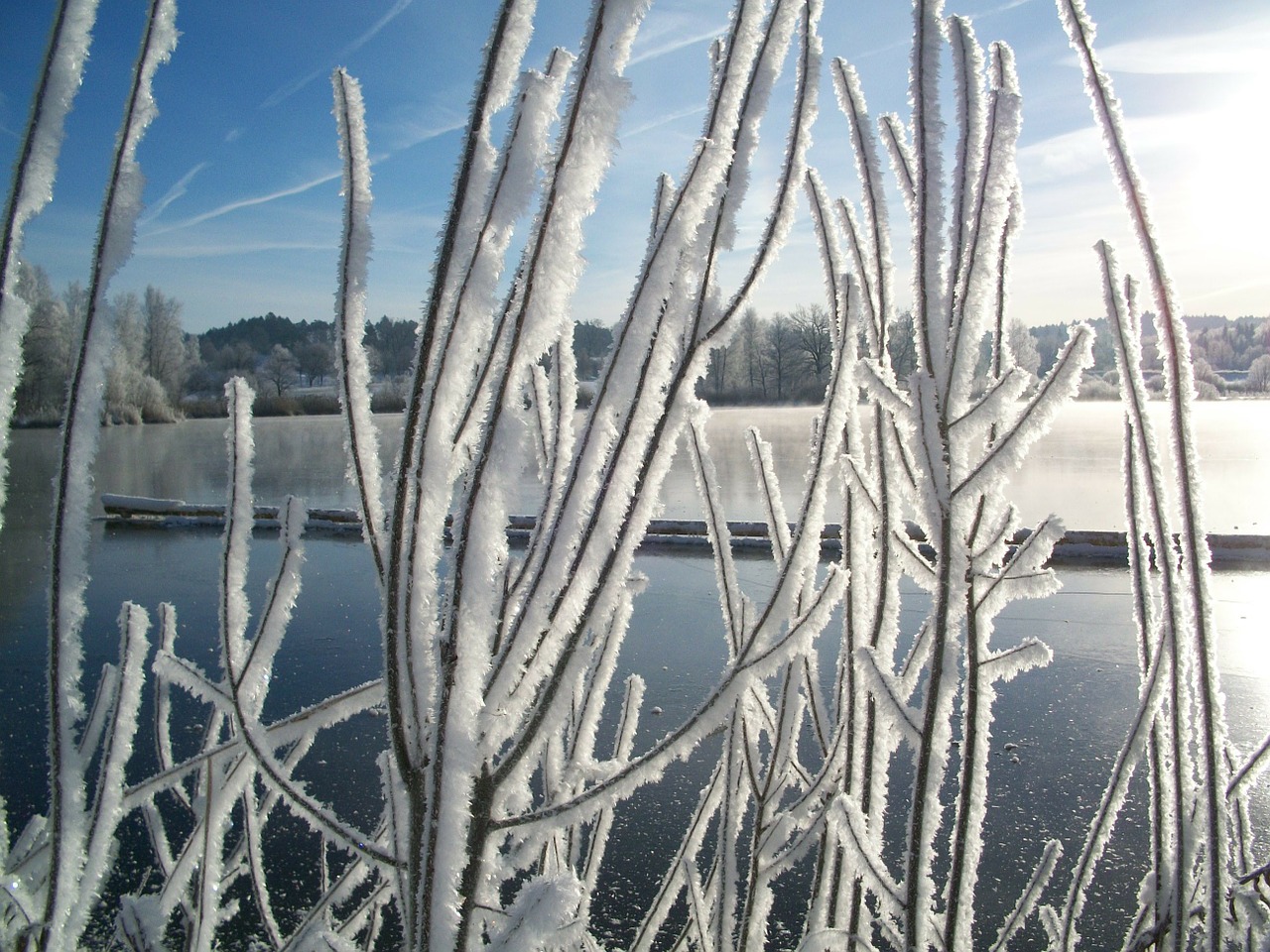 Žiema, Sniegas, Tvenkinys, Ežeras, Sušaldyta, Ledo Danga, Šaltis, Auskaras, Šaltas, Ledinis