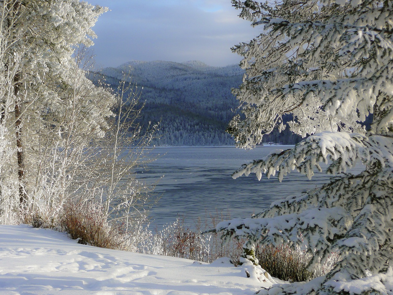 Žiema, Sezonas, Ledinis, Medžiai, Gamta, Kanim Ežeras, Britų Kolumbija, Šaltas, Sniegas, Kraštovaizdis
