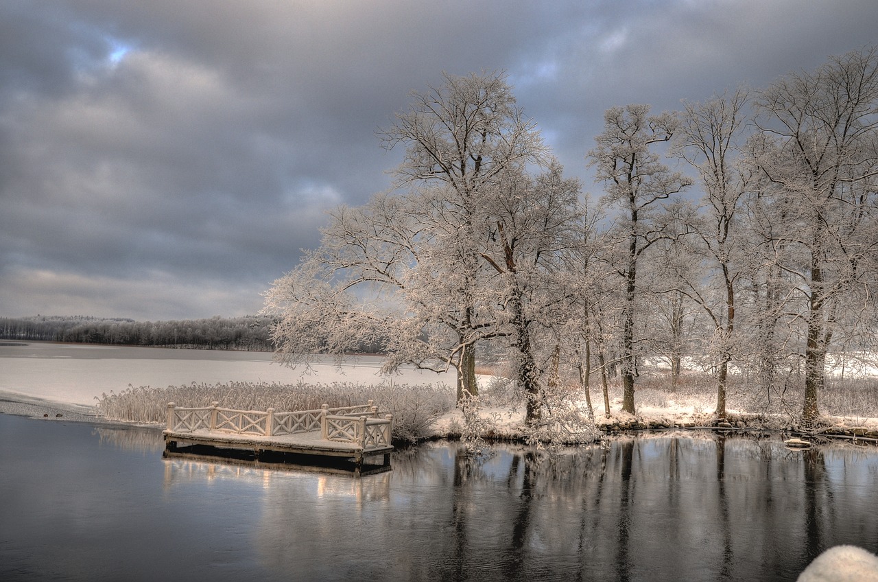 Žiema, Nääs, Hdr, Nemokamos Nuotraukos,  Nemokama Licenzija