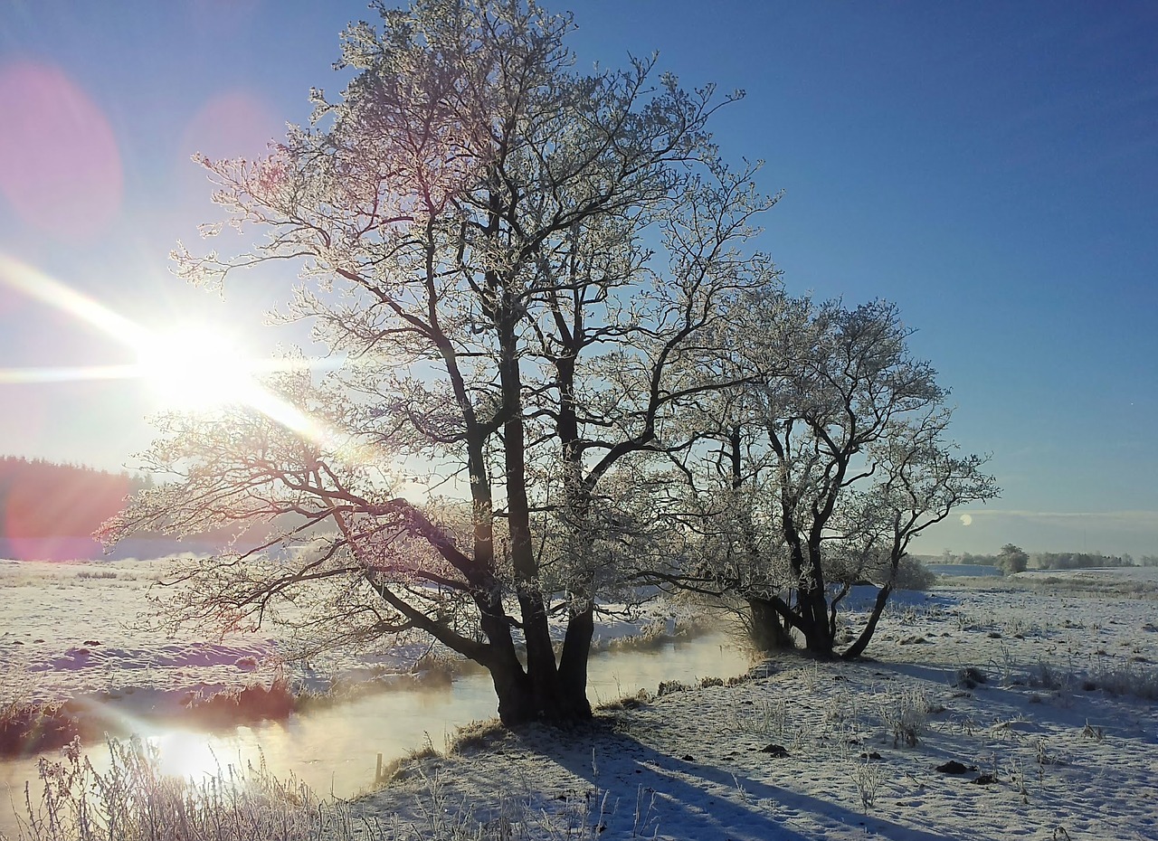 Žiema, Ratlankis, Natūralus, Ansager, Kraštovaizdis, Mediena, Šaltis, Sol, Å, Nemokamos Nuotraukos