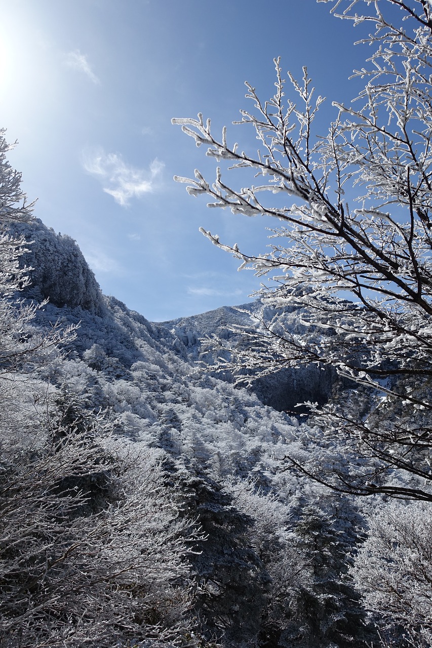 Žiema, Sniego Kalnas, Jeju Sala, Korėjos Respublika, Sniegas, Kraštovaizdis, Alpinizmas, Žygis, Kalnas, Tiltas