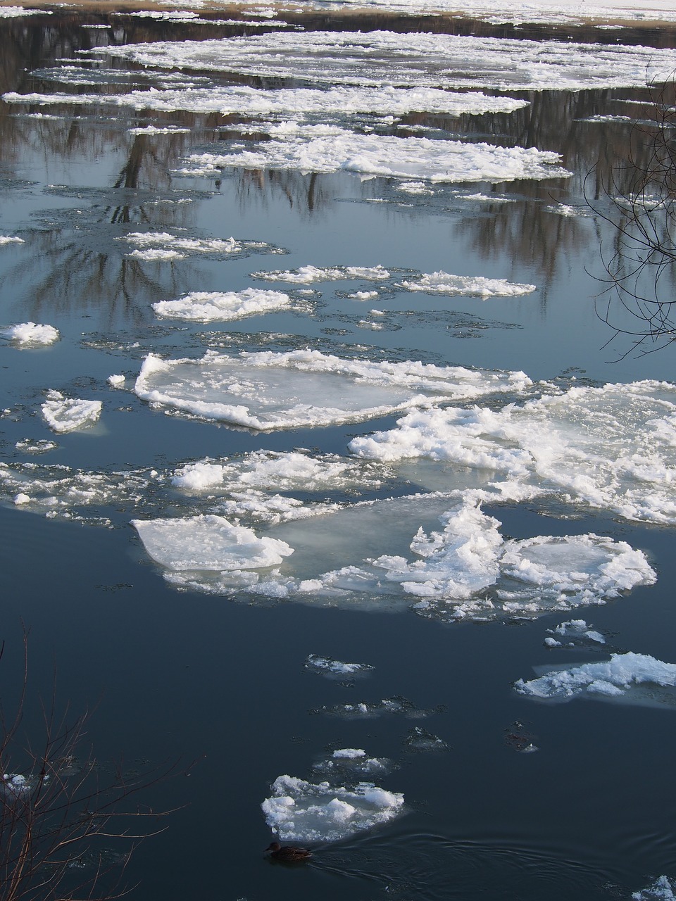 Мелкий лед на воде. Ледяное болото. Лед на болотах. Вода со льдом. Лед.