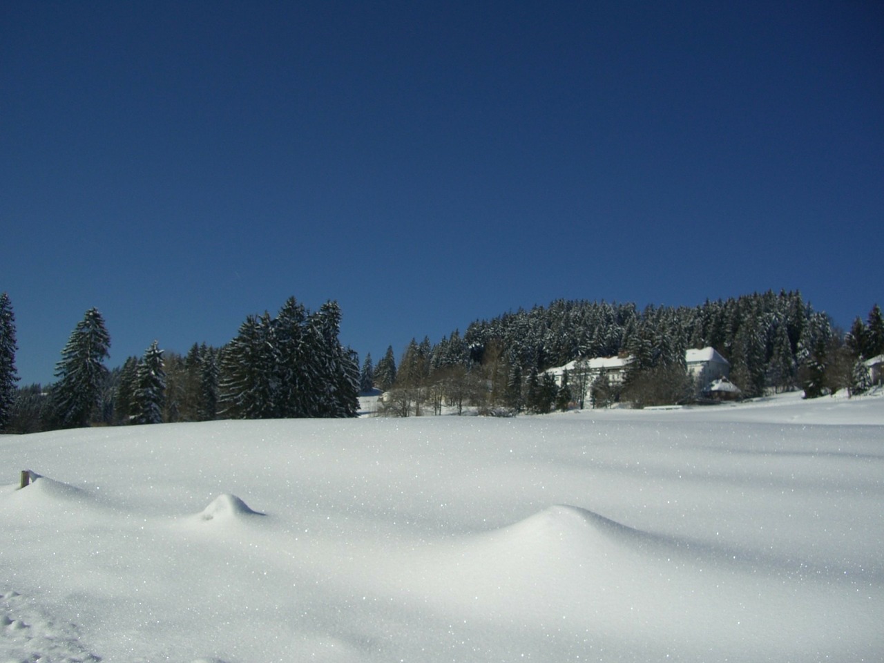 Žiema, Balta, Mėlynas, Sniegas, Dangus, Eglės, Sveikatos Klinika, Mittelberg, Allgäu, Nemokamos Nuotraukos