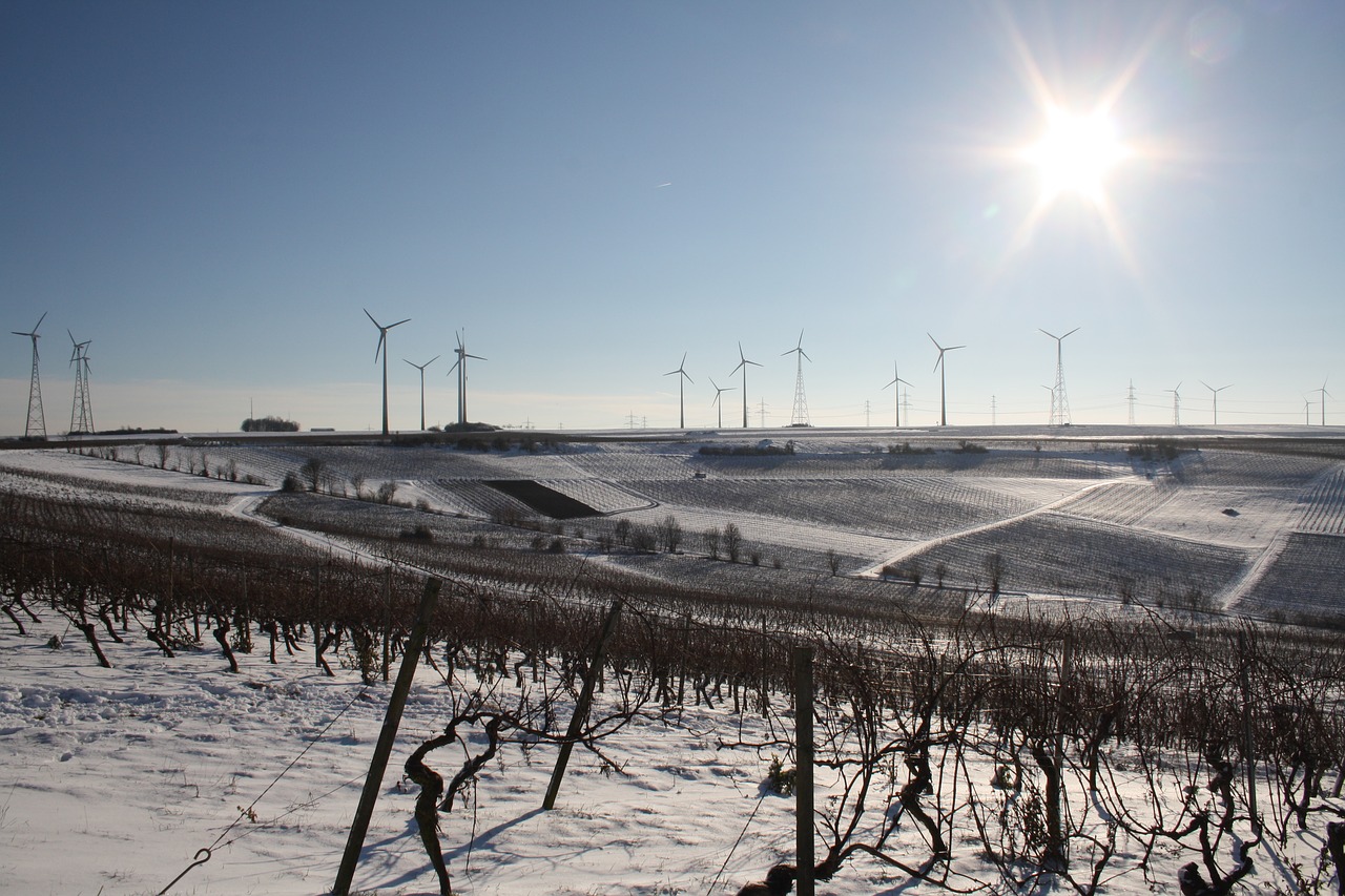 Žiema, Vynuogynai, Windräder, Sniegas, Vynuogių Auginimas, Šaltas, Vynuogynai, Kraštovaizdis, Rebstock, Žiemos Svajonė