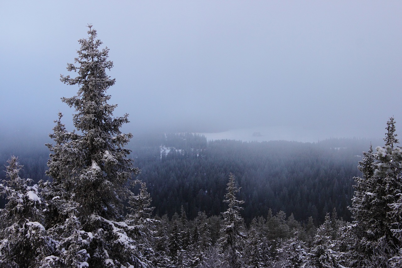 Žiema, Kalėdų Eglutė, Sniegas, Kraštovaizdis, Gamta, Laplandas, Finland, Ranka, Kuusamo, Nipelis