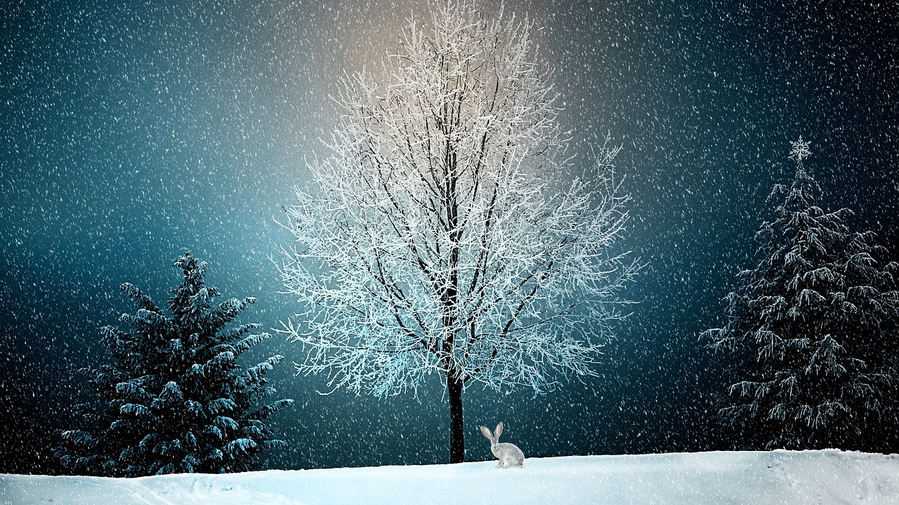 Žiema, Žiemą, Sniegas, Sniego Kraštovaizdis, Kalėdos, Gamta, Snieguotas, Kalėdų Motyvas, Kalėdinis Atvirukas, Kalėdų Sveikinimas