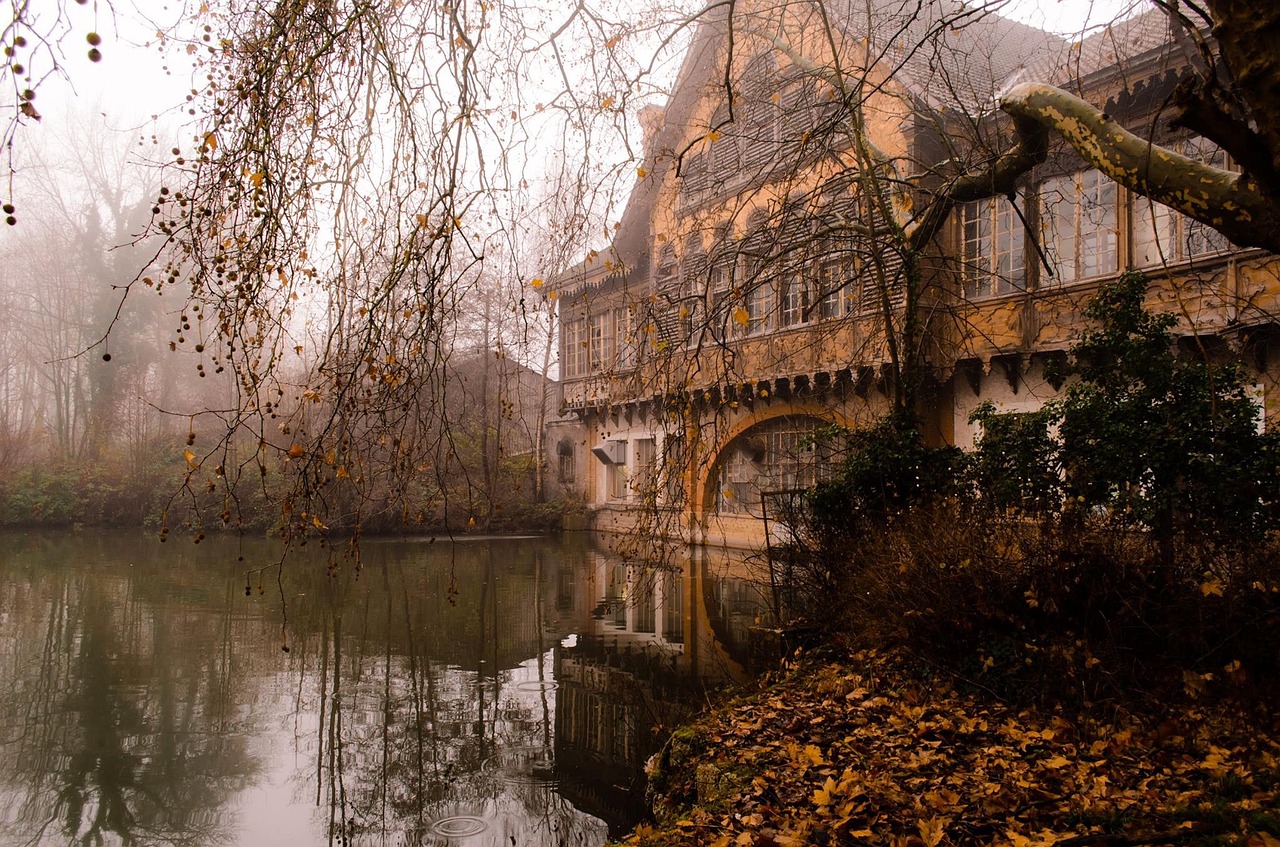 Žiema, Gruodžio Mėn ., Žiemos Peizažas, Gamta, Medžiai, Mediena, Kraštovaizdis, France, Namas, Nemokamos Nuotraukos