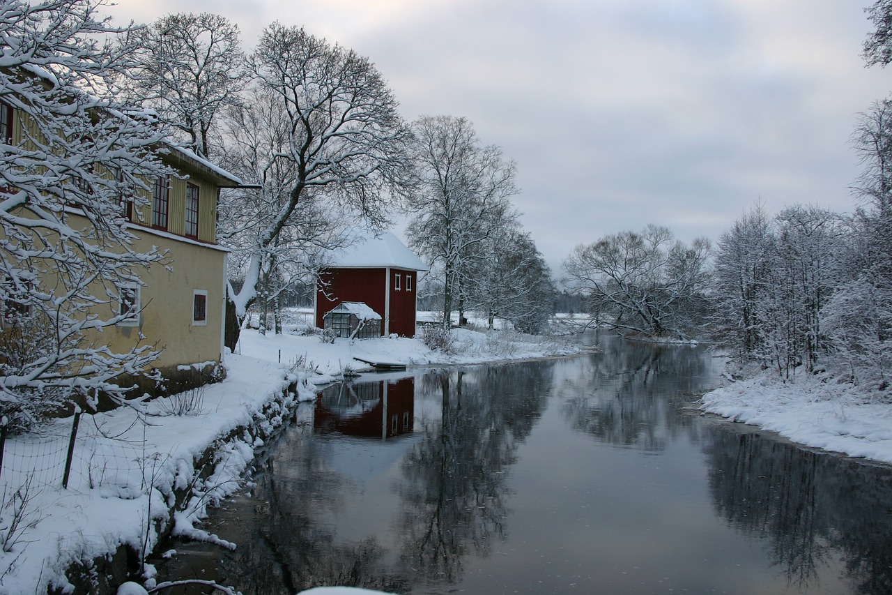 Žiema, Sniegas, Šaltas, Gamta, Medis, Šaltis, Å, Svartån, Örebro, Lindbacka