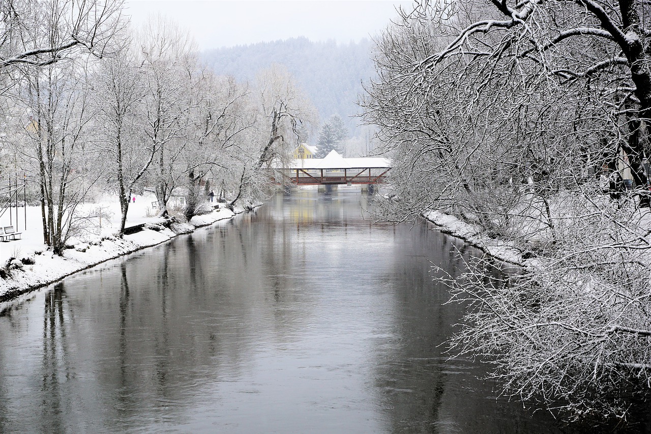 Žiema, Sniegas, Vandenys, Medis, Gamta, Tuttlingen, Baden Württemberg, Vokietija, Europa, Potvynis