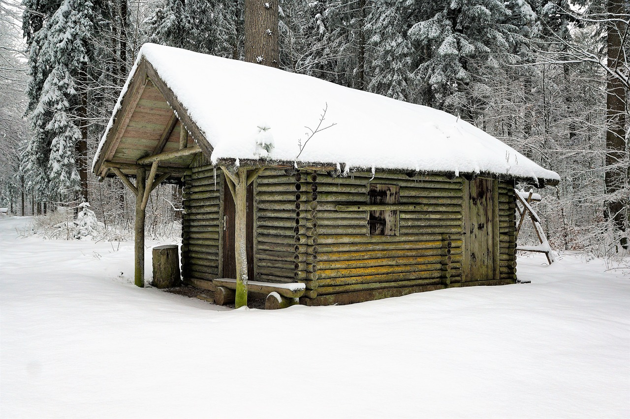 Žiema, Sniegas, Mediena, Namai, Baraką, Bungalow, Šaltas, Namelis, Miškai, Gamta