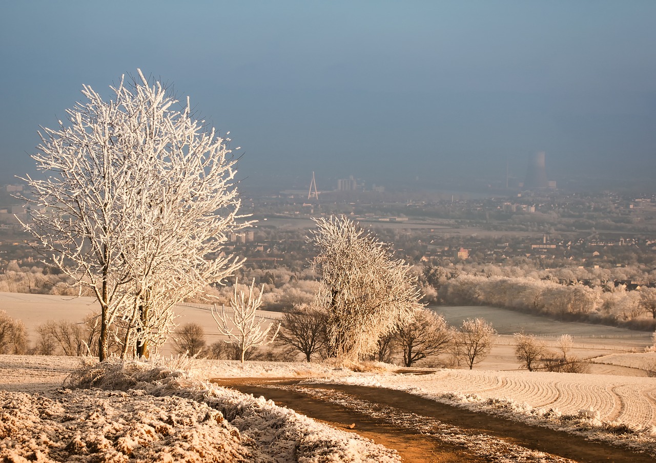 Žiema,  Medis,  Sniegas,  Šaltis,  Gamta,  Abendstimmung,  Saulėlydis,  Auskaras,  Sušaldyta,  Eiskristalio