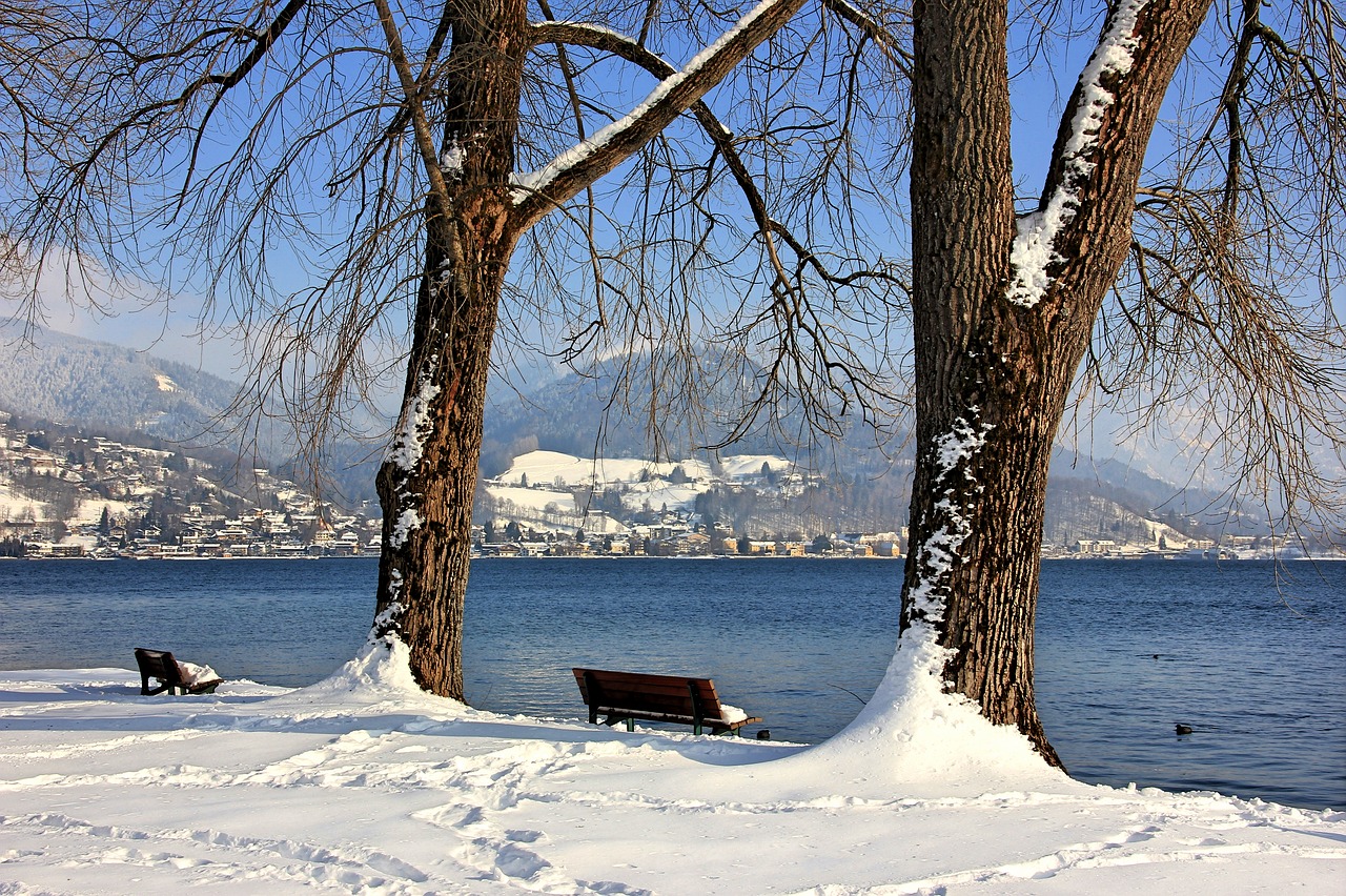 Žiema,  Sniegas,  Medis,  Šaltas,  Sušaldyta,  Šaltis,  Ledas,  Mediena,  Kraštovaizdis,  Sezonas