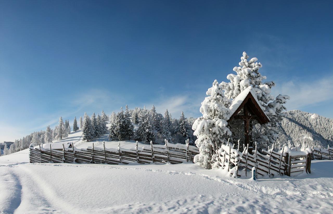 Žiema, Sniegas, Snieguotas, Kraštovaizdis, Nemokamos Nuotraukos,  Nemokama Licenzija