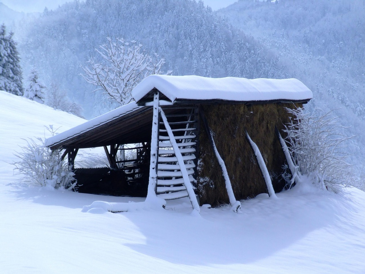 Žiema, Balta, Hayrack, Sniegas, Gruodžio Mėn ., Nemokamos Nuotraukos,  Nemokama Licenzija