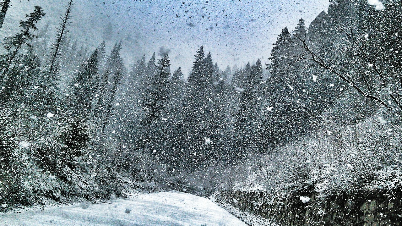 Žiema, Stiprus Sniegas, Kelias, Sniegas, Nemokamos Nuotraukos,  Nemokama Licenzija