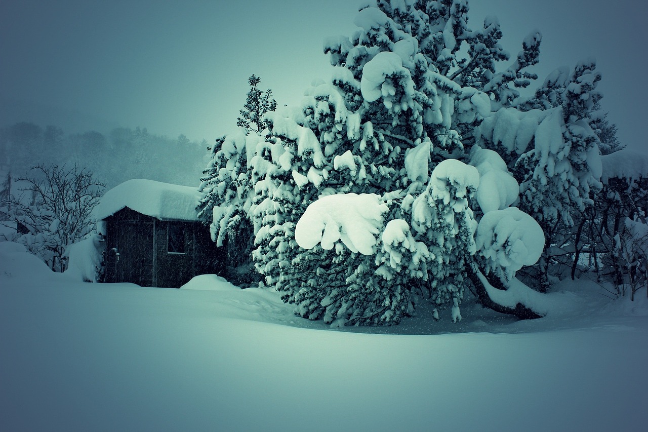 Žiema, Sniegas, Šveicarija, Nemokamos Nuotraukos,  Nemokama Licenzija