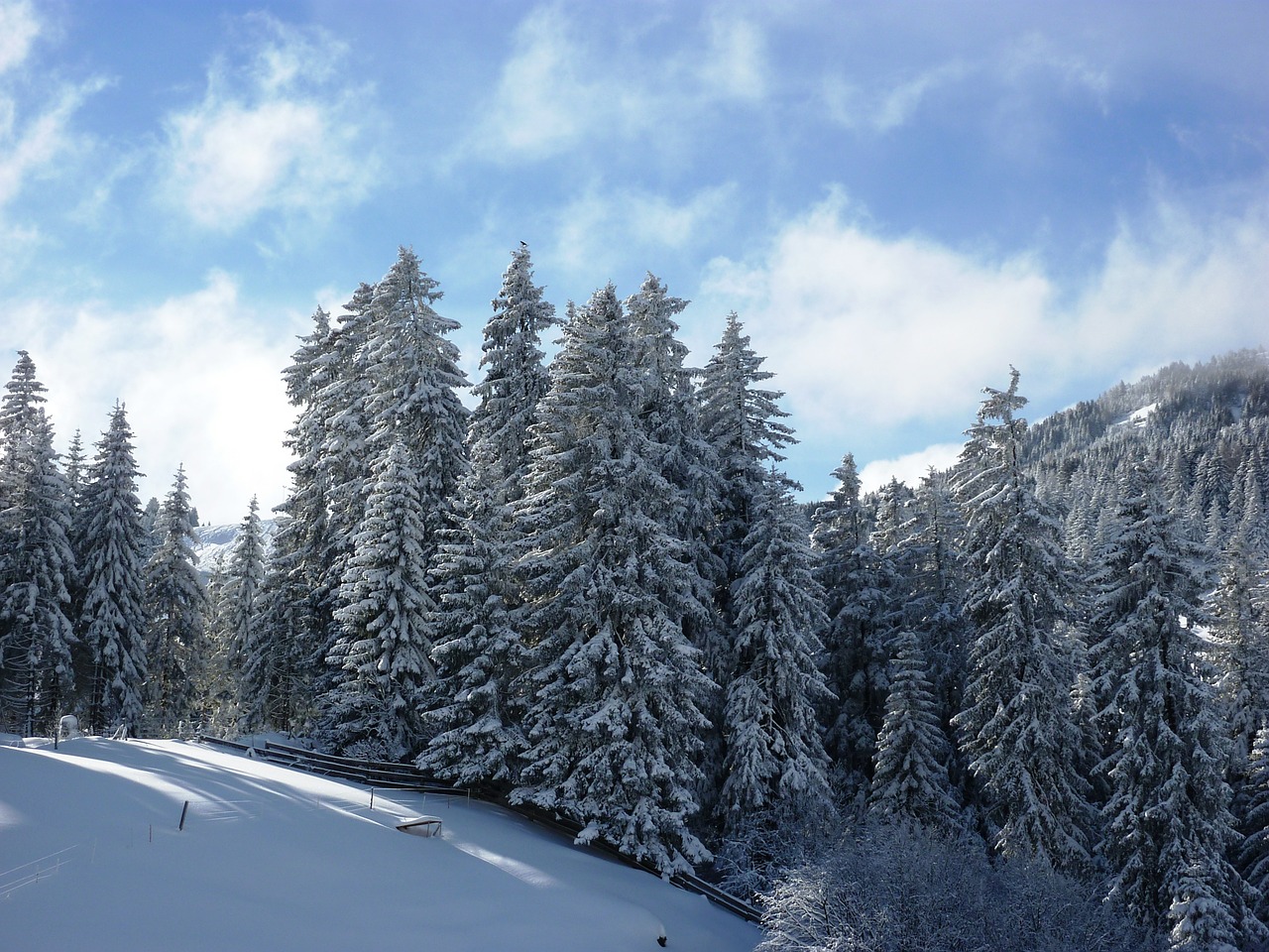 Žiema, Sniegas, Žiemą, Šaltas, Kraštovaizdis, Snieguotas, Žiemos Šaltis, Šveicarija, Graubünden, Parpan