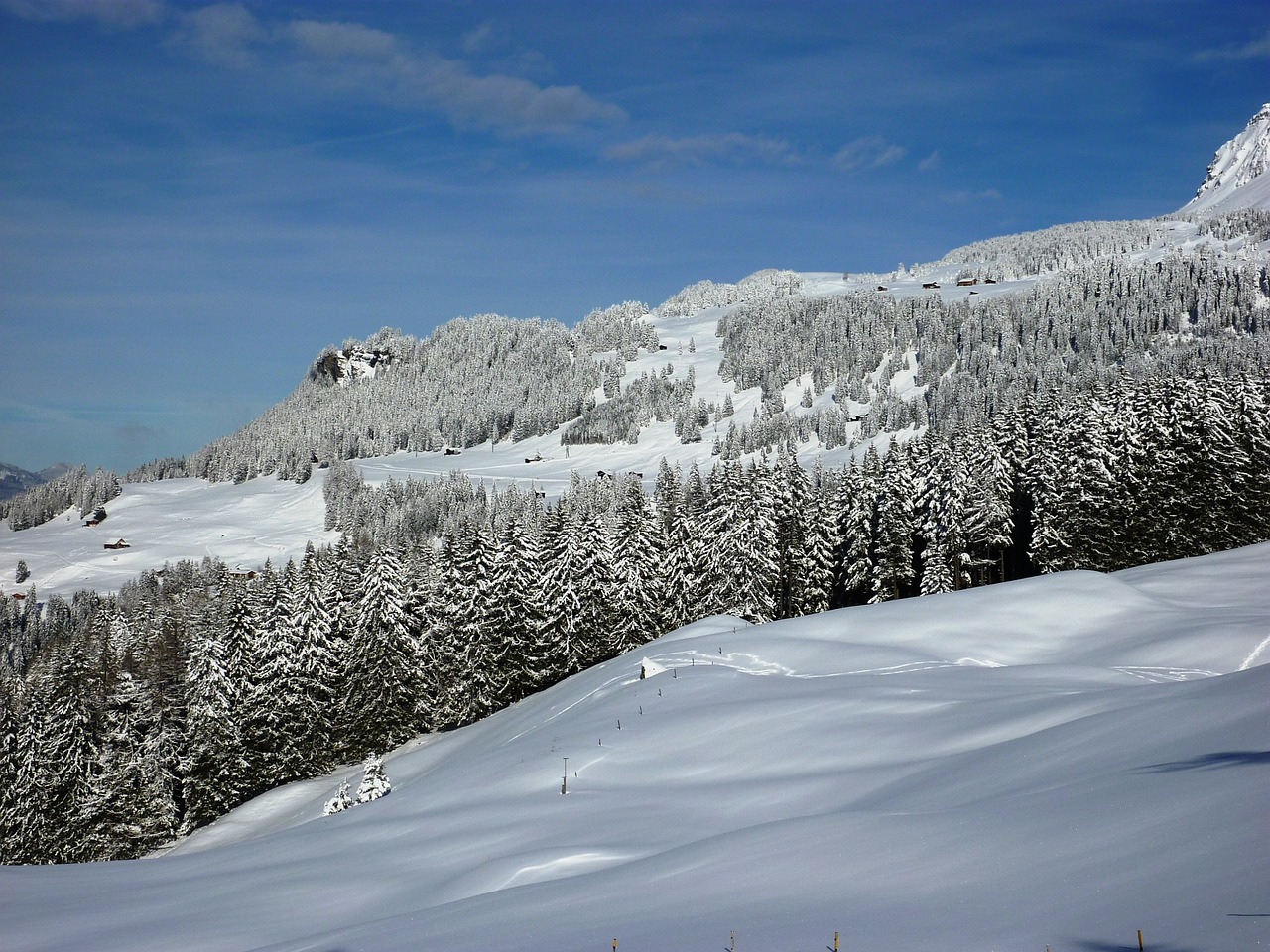 Žiema, Sniegas, Žiemą, Šaltas, Kraštovaizdis, Snieguotas, Žiemos Šaltis, Šveicarija, Graubünden, Parpan