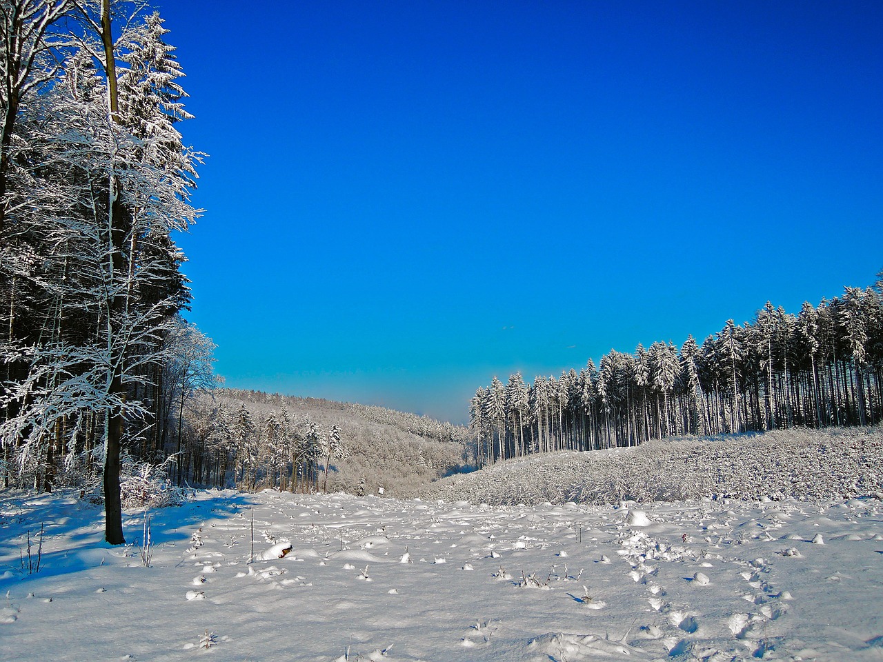 Žiema, Panorama, Sniegas, Balta, Mėlynas, Medžiai, Mėlynas Dangus, Vaizdas, Dangus, Dangus