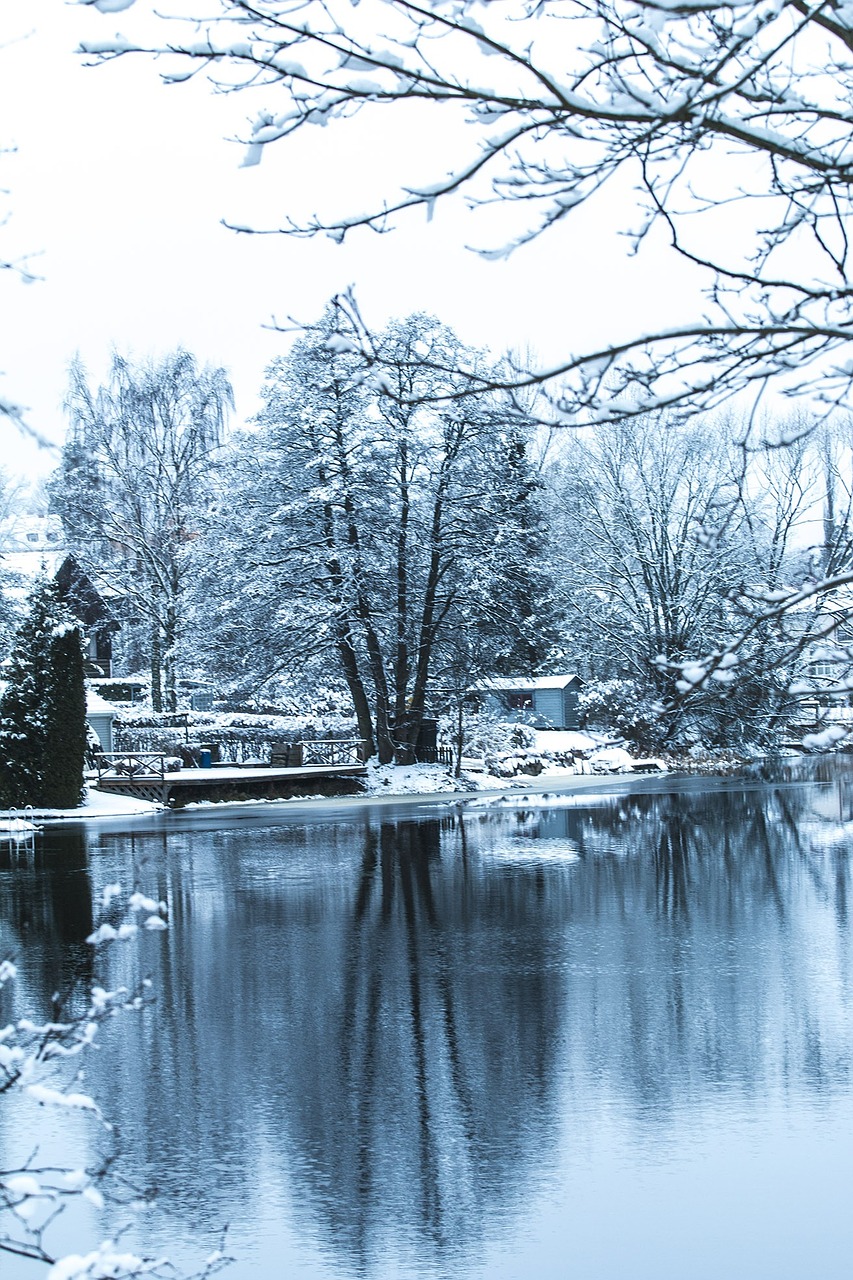 Žiema, Sniegas, Bankas, Ežeras, Vanduo, Gamta, Upė, Atmosfera, Nuotaika, Medžiai