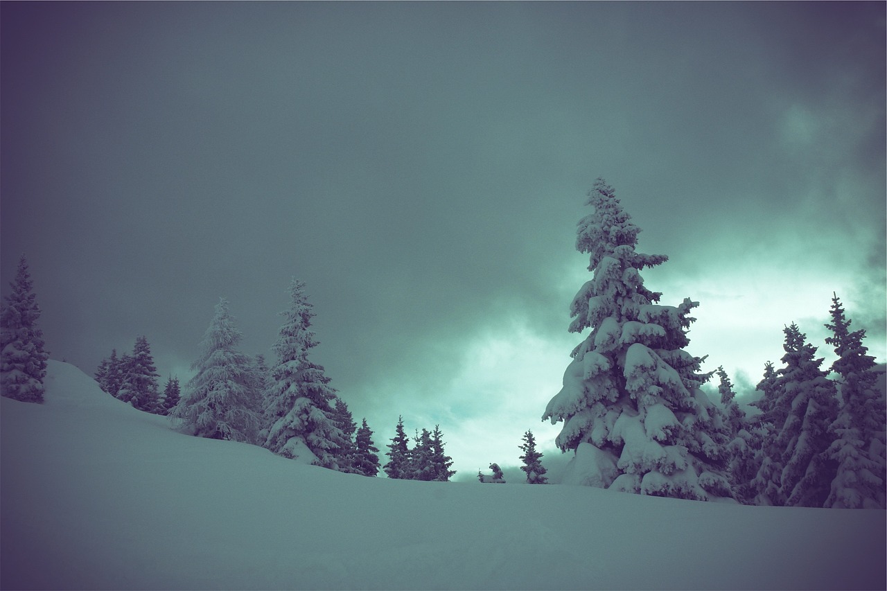 Žiema, Sniegas, Medžiai, Tamsi, Debesuota, Nemokamos Nuotraukos,  Nemokama Licenzija
