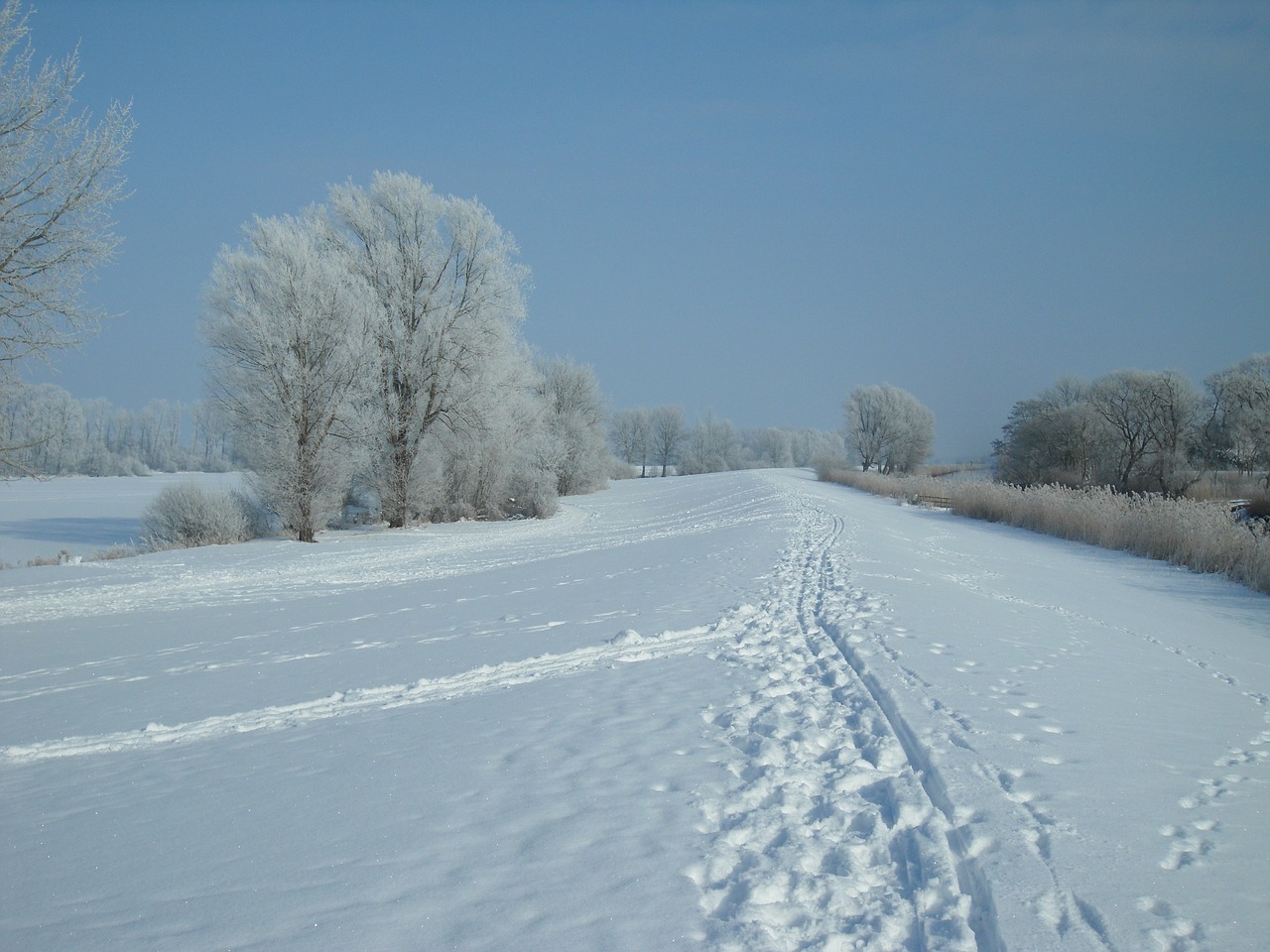 Žiema, Auskaras, Šaltis, Dike, Pėdsakai, Gražus, Sniegas, Gamta, Platus, Kraštovaizdis