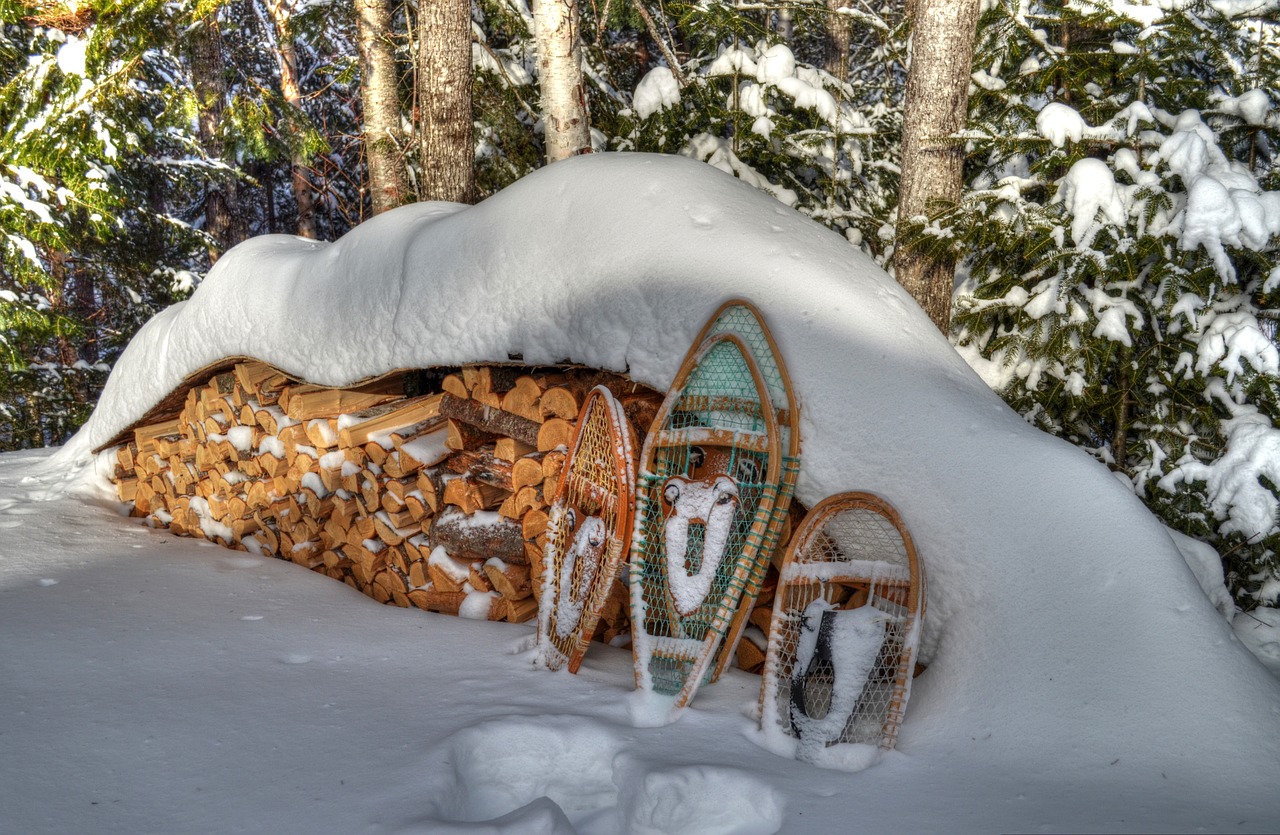 Žiema, Snowshoes, Sniegas, Mediena, Nemokamos Nuotraukos,  Nemokama Licenzija
