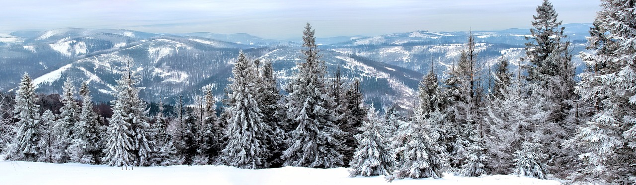 Žiema,  Kraštovaizdis,  Sniegas,  Kalnai,  Medis,  Vaizdas,  Balta,  Miškas,  Lenkija,  Gamta