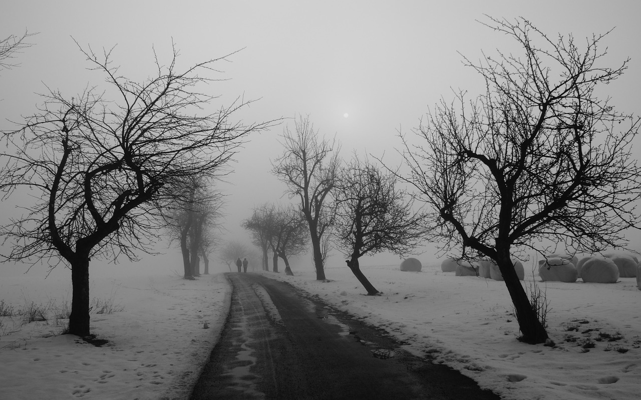 Žiema, Kelias, Juoda Ir Balta, Nemokamos Nuotraukos,  Nemokama Licenzija