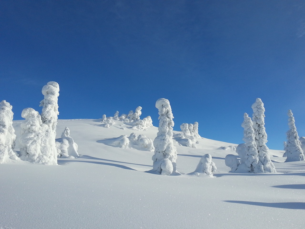 Žiema, Sniegas, Medžiai, Norvegija, Kvitfjell, Šaltas, Žiemos Fone, Žiemos Peizažas, Žiemos Atostogos, Nemokamos Nuotraukos