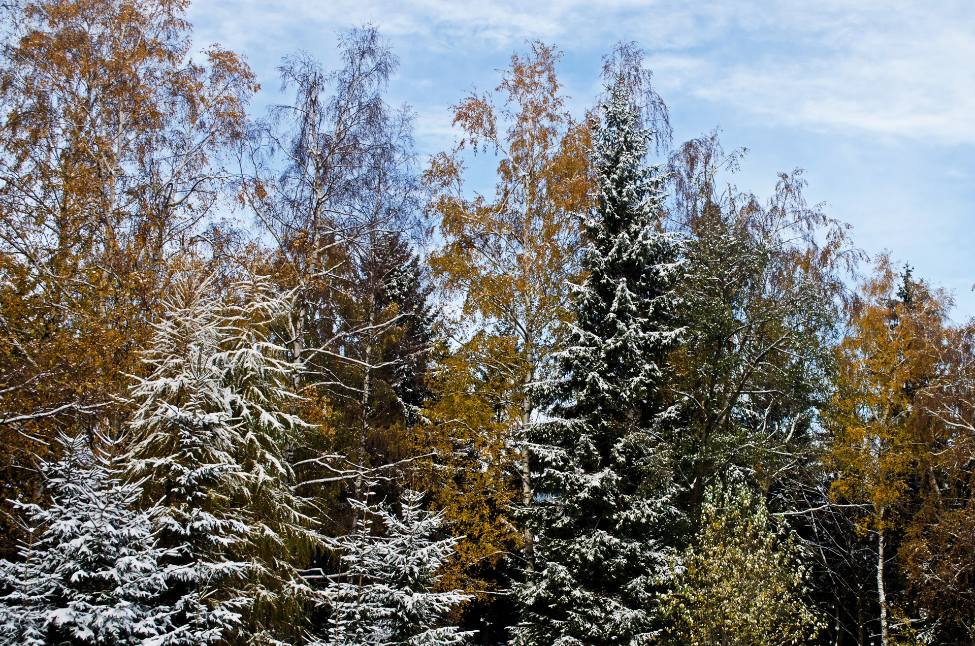 Žiemos Sezonas,  Sniegas,  Kraštovaizdis,  Kelionė,  Šventė,  Fonas,  Drobė,  Čekija & Nbsp,  Respublika,  Highland