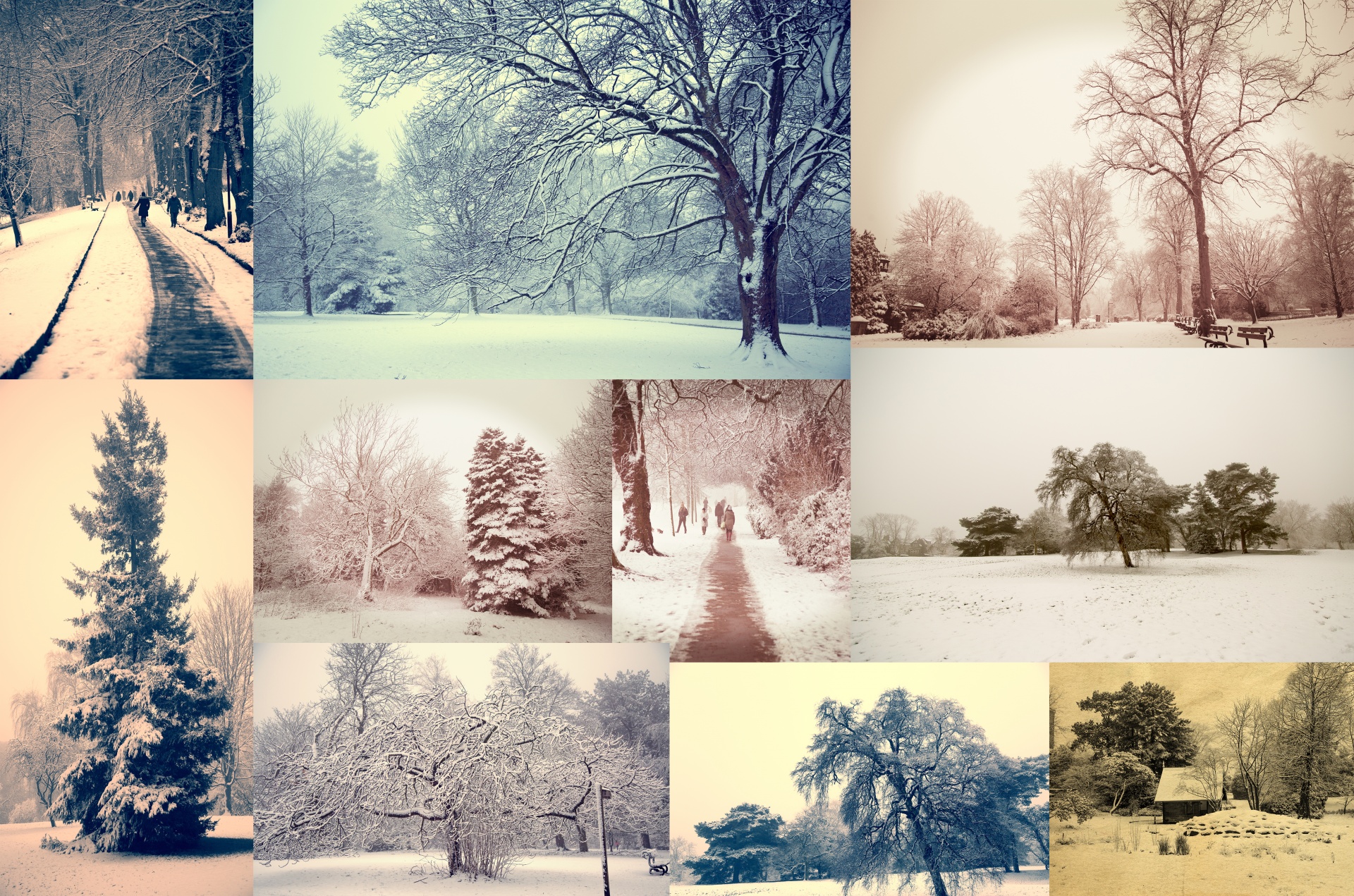 Žiema,  Sezonai,  Plakatas,  Sniegas,  Šaltas,  Šaltis,  Ledas,  Balta,  Medis,  Medžiai