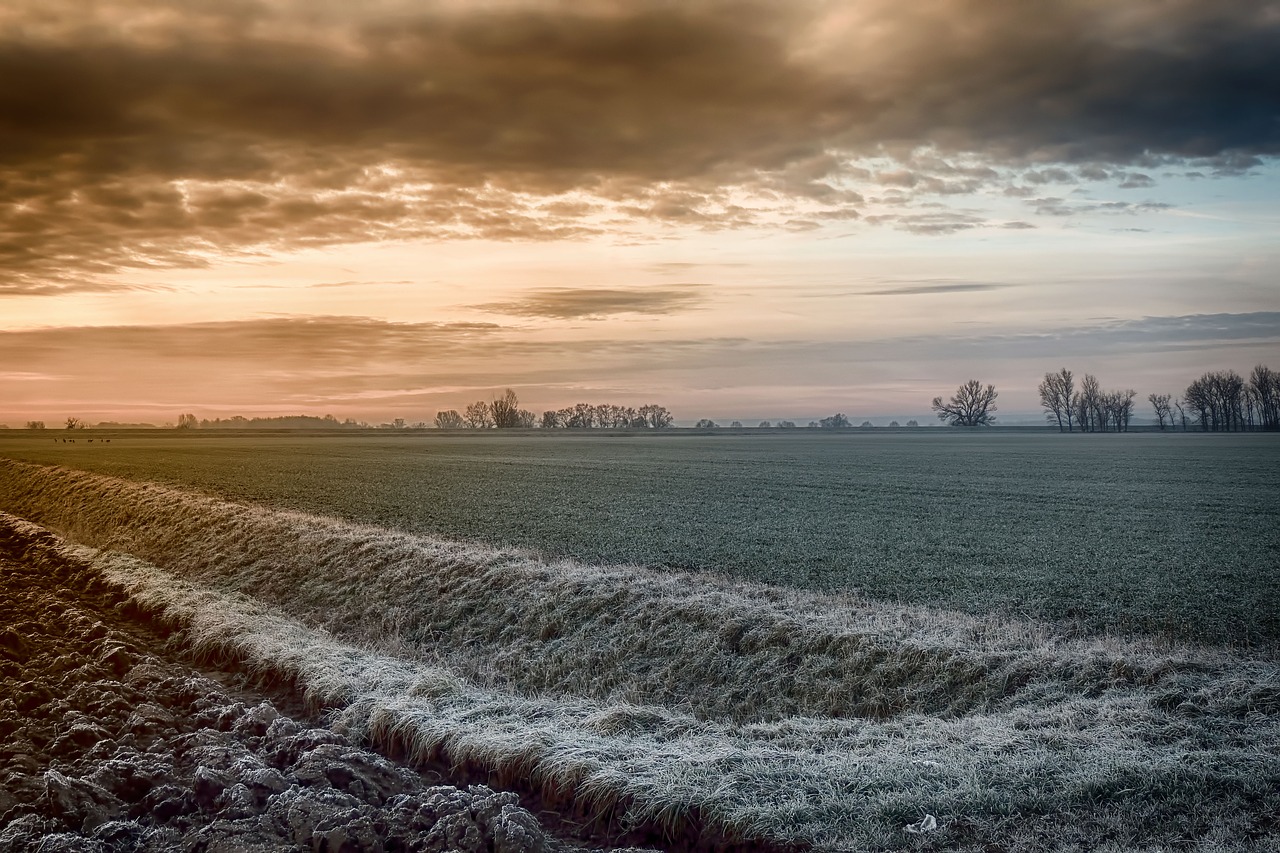 Žiemos Saulėtekio,  Laukas,  Šalto,  Ledinis,  Hdr Nuotraukos, Nemokamos Nuotraukos,  Nemokama Licenzija