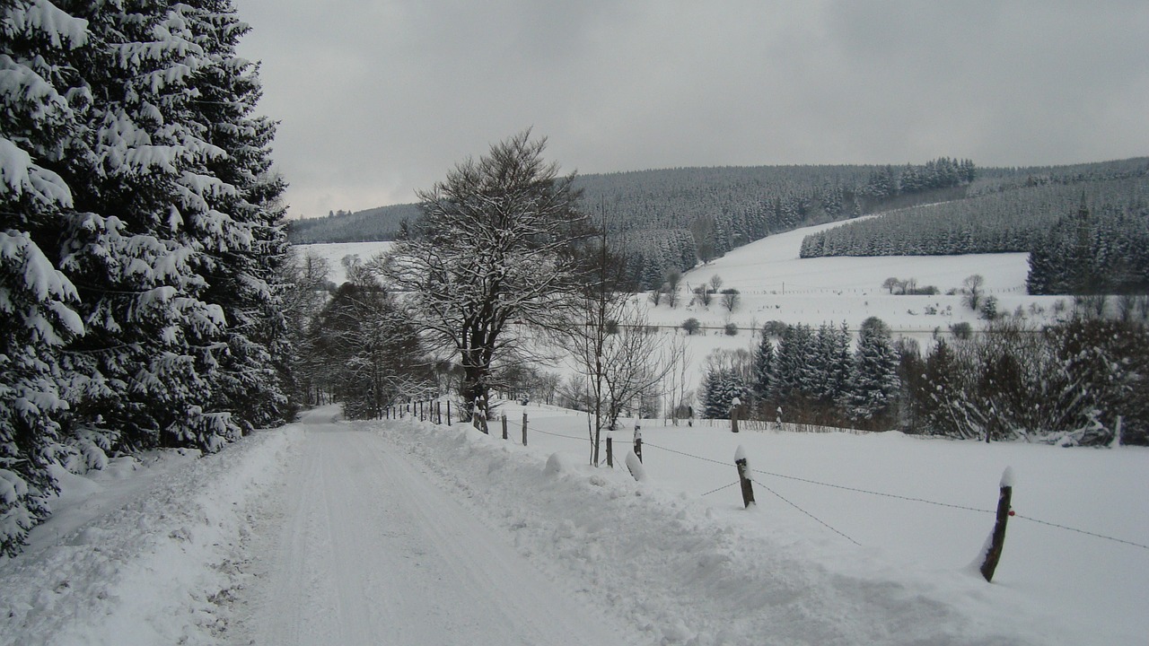 Winterberg, Sniegas, Kraštovaizdis, Žiema, Vokietija, Bėgimas Slidėmis, Nemokamos Nuotraukos,  Nemokama Licenzija