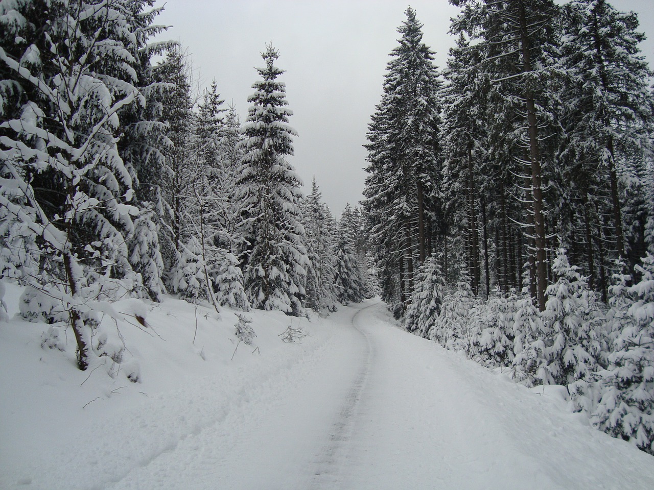 Winterberg, Vokietija, Sniegas, Bėgimas Slidėmis, Žiema, Kraštovaizdis, Nemokamos Nuotraukos,  Nemokama Licenzija