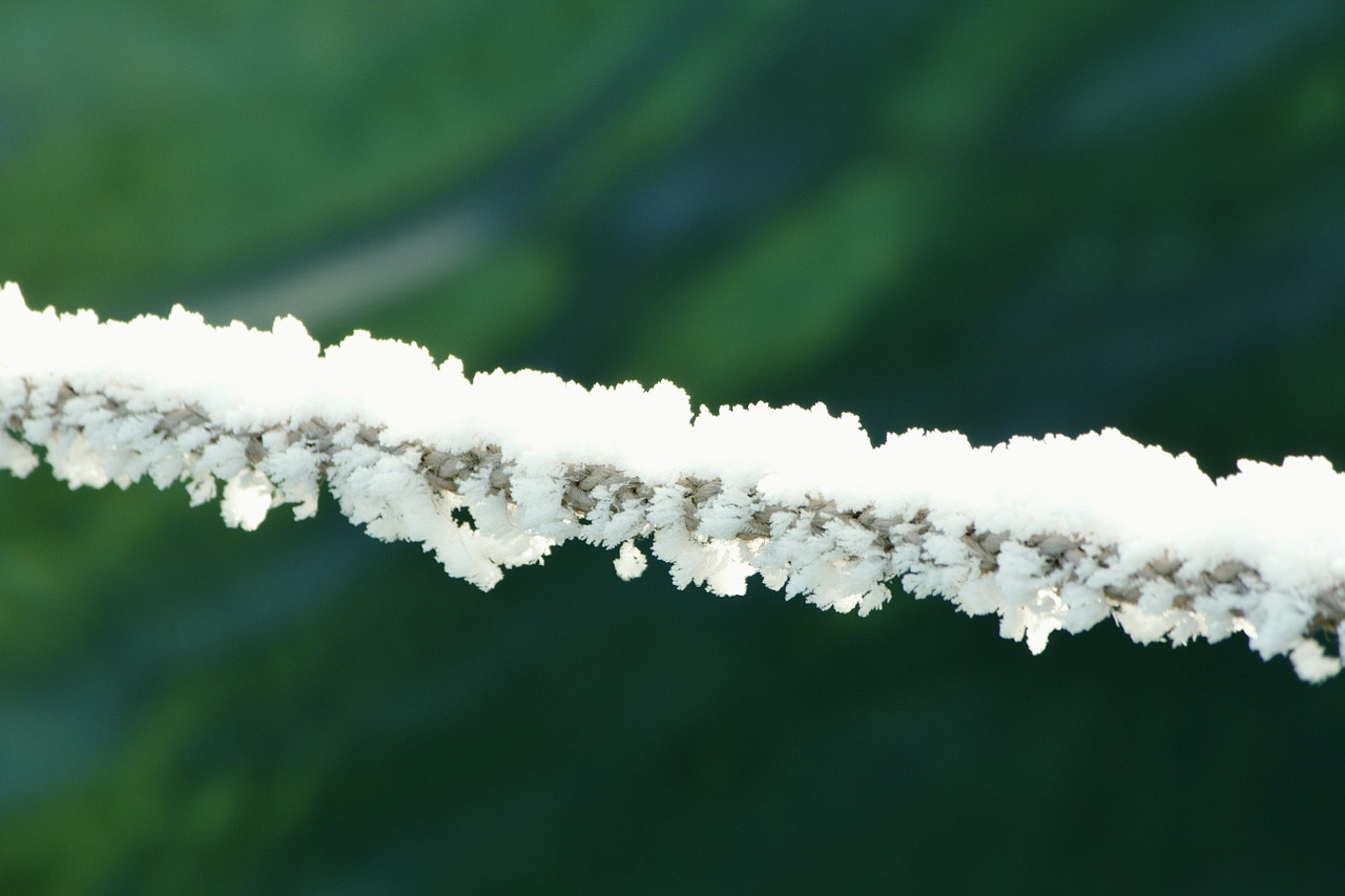 Winterimpression, Užšalimo Temperatūra, Šalti Keliai, Nemokamos Nuotraukos,  Nemokama Licenzija