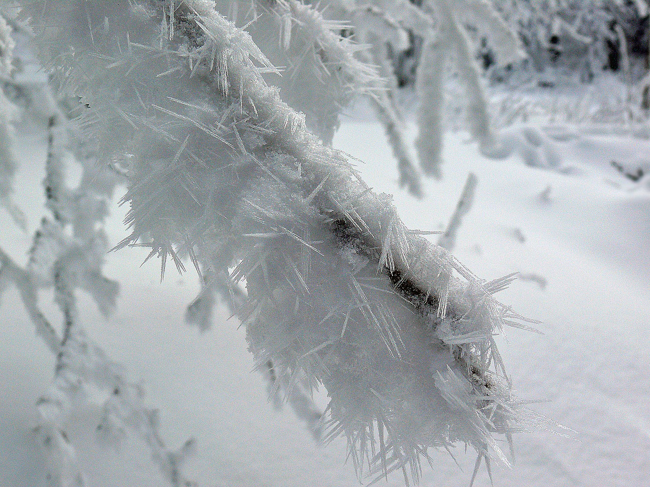 Winterimpression, Žiema, Ledas, Šaltis, Sniegas, Šaltas, Ledas, Eiskristalio, Balta, Sušaldyta