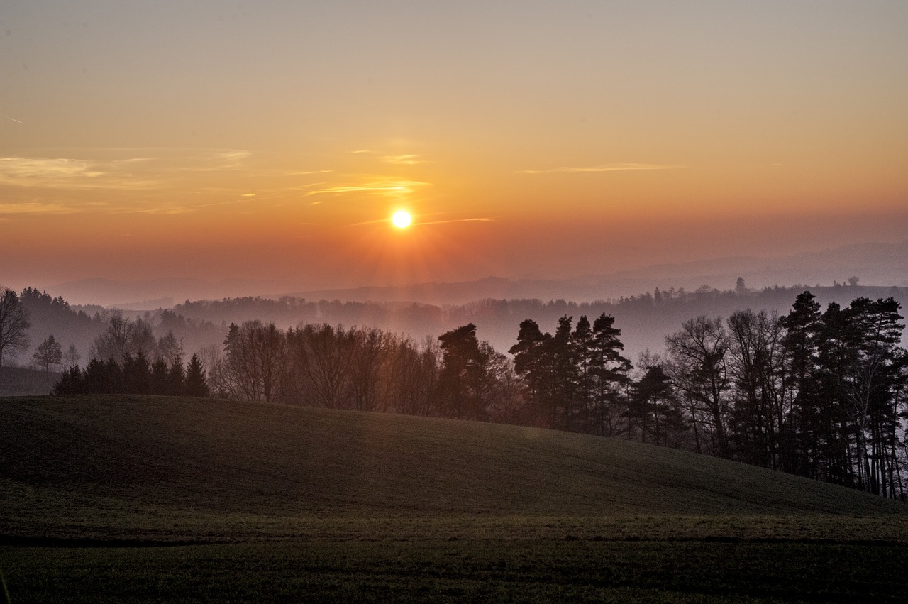 Žiemos Diena, Saulėlydis, Žiema, Dangus, Debesys, Žiemą, Afterglow, Miškas, Dusk, Šaltas