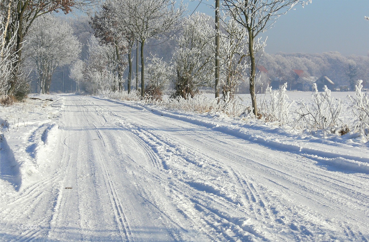 Žiemos Diena, Juostos, Sniego Danga, Landschaftsschtzgebiet, Ffh, Sodyba, Sniegas, Įstrigo Rutulyje, Davert, Münsterland
