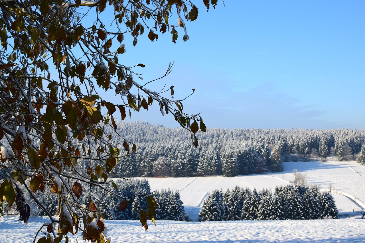 Žiemą, Hohegeiß, Sniegas, Panorama, Perspektyva, Nemokamos Nuotraukos,  Nemokama Licenzija