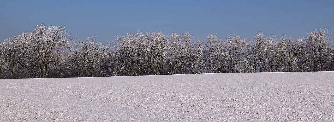 Žiemą, Ledas, Žiemos Nuotaika, Ledinis Medis, Nemokamos Nuotraukos,  Nemokama Licenzija