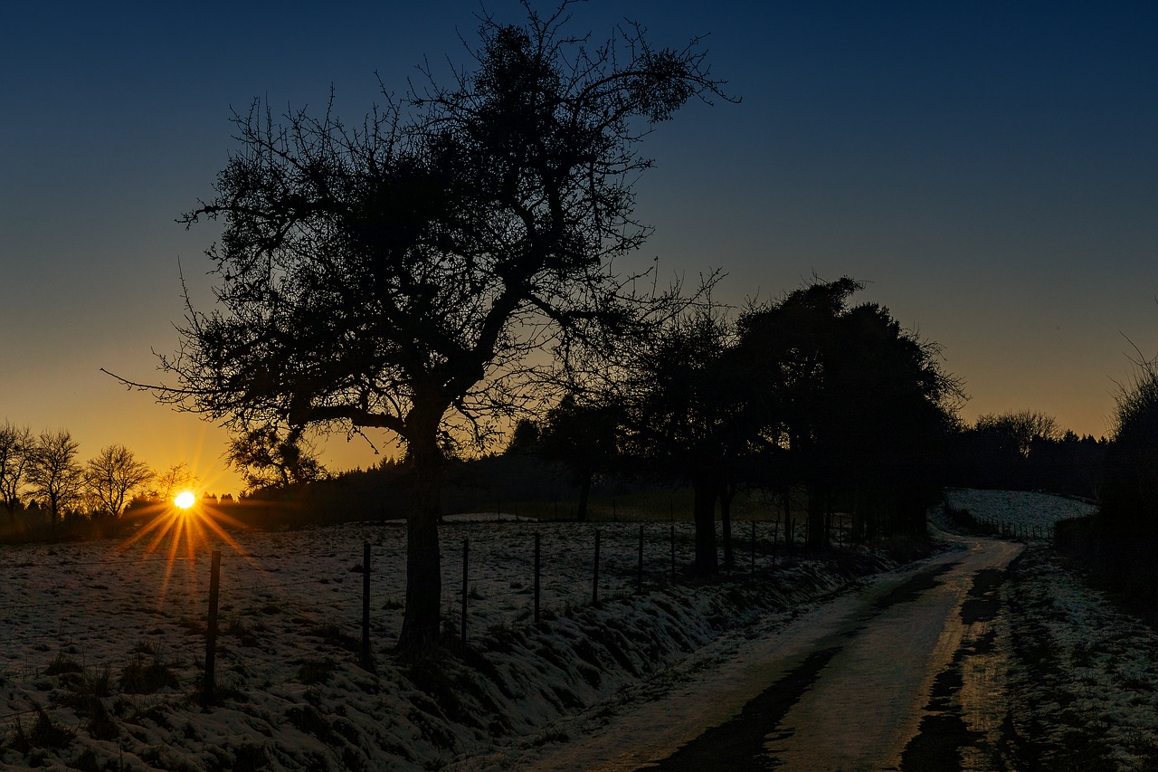 Žiemą, Saulėlydis, Gamta, Vakarinis Dangus, Kraštovaizdis, Twilight, Medžiai, Saulė, Abendstimmung, Nemokamos Nuotraukos