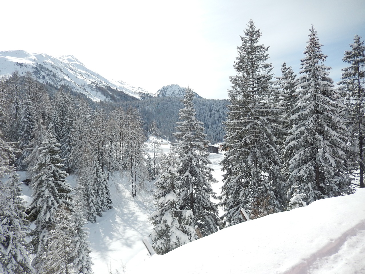 Žiemą, Davos, Graubünden, Nemokamos Nuotraukos,  Nemokama Licenzija
