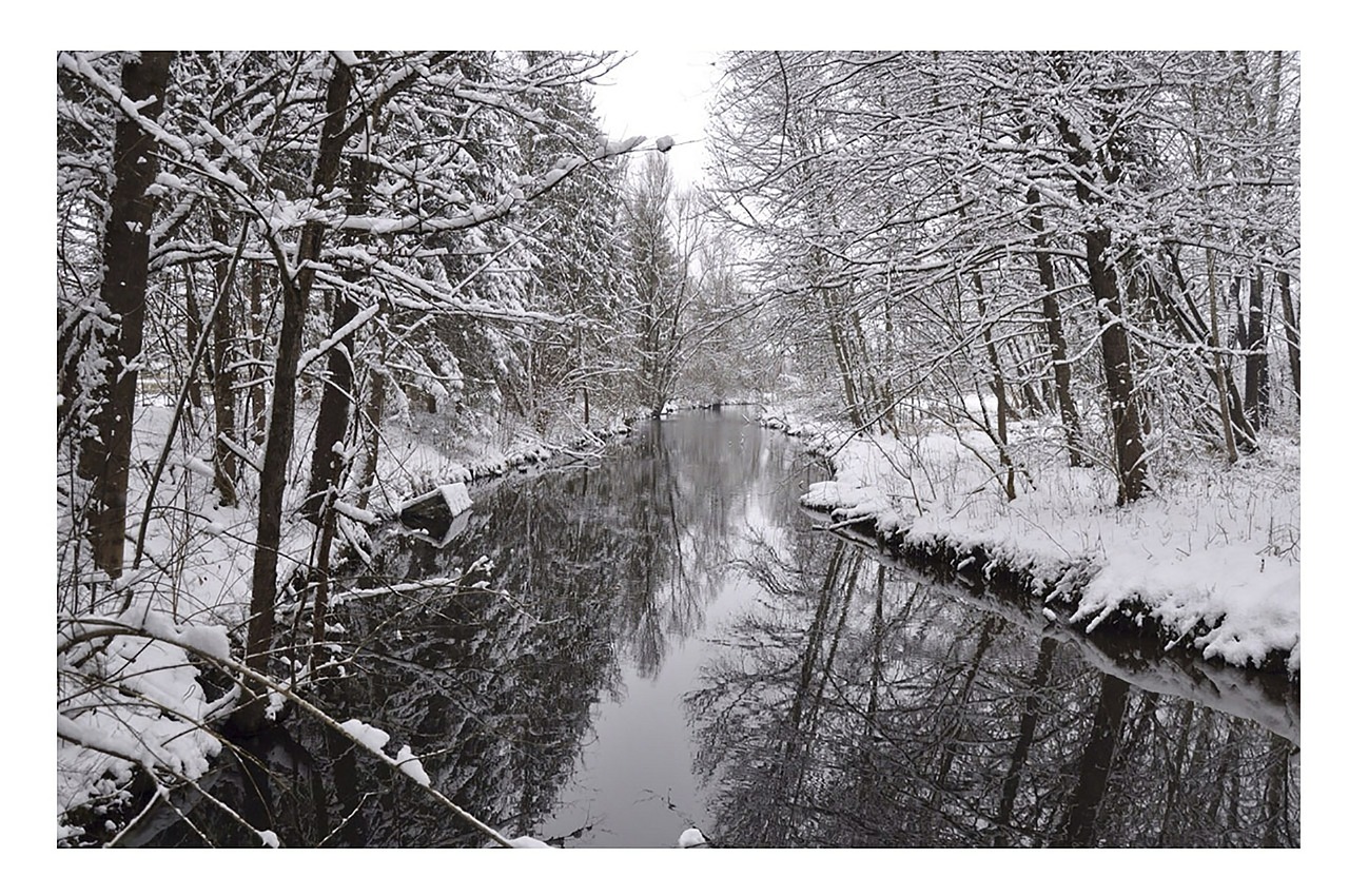 Žiemą, Medžiai, Upė, Šaltas, Nemokamos Nuotraukos,  Nemokama Licenzija