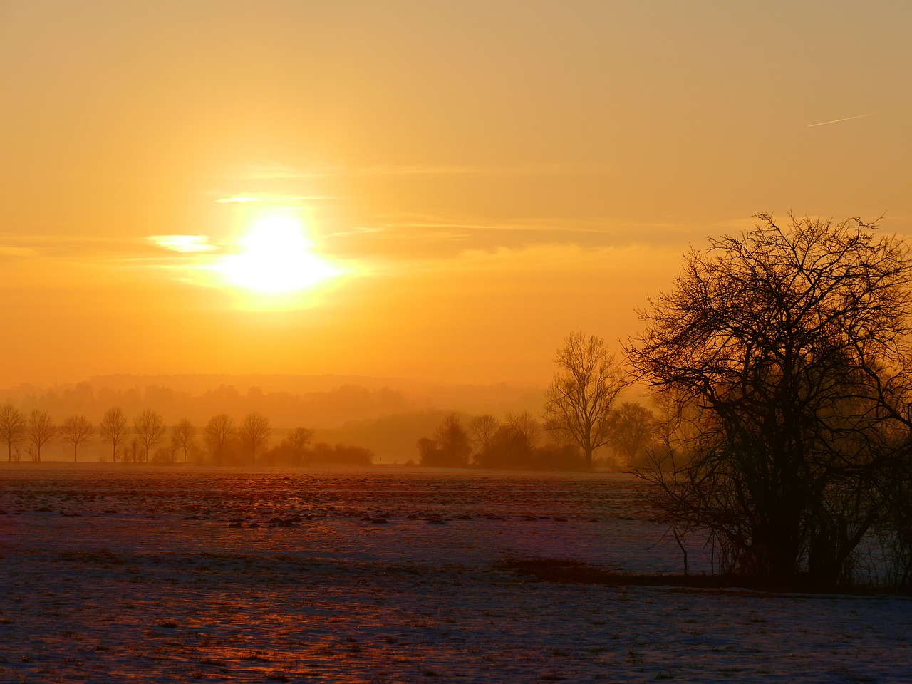 Žiemą, Saulėlydis, Medžiai, Atgal Šviesa, Žiema, Sniegas, Šaltas, Snieguotas, Gamta, Abendstimmung