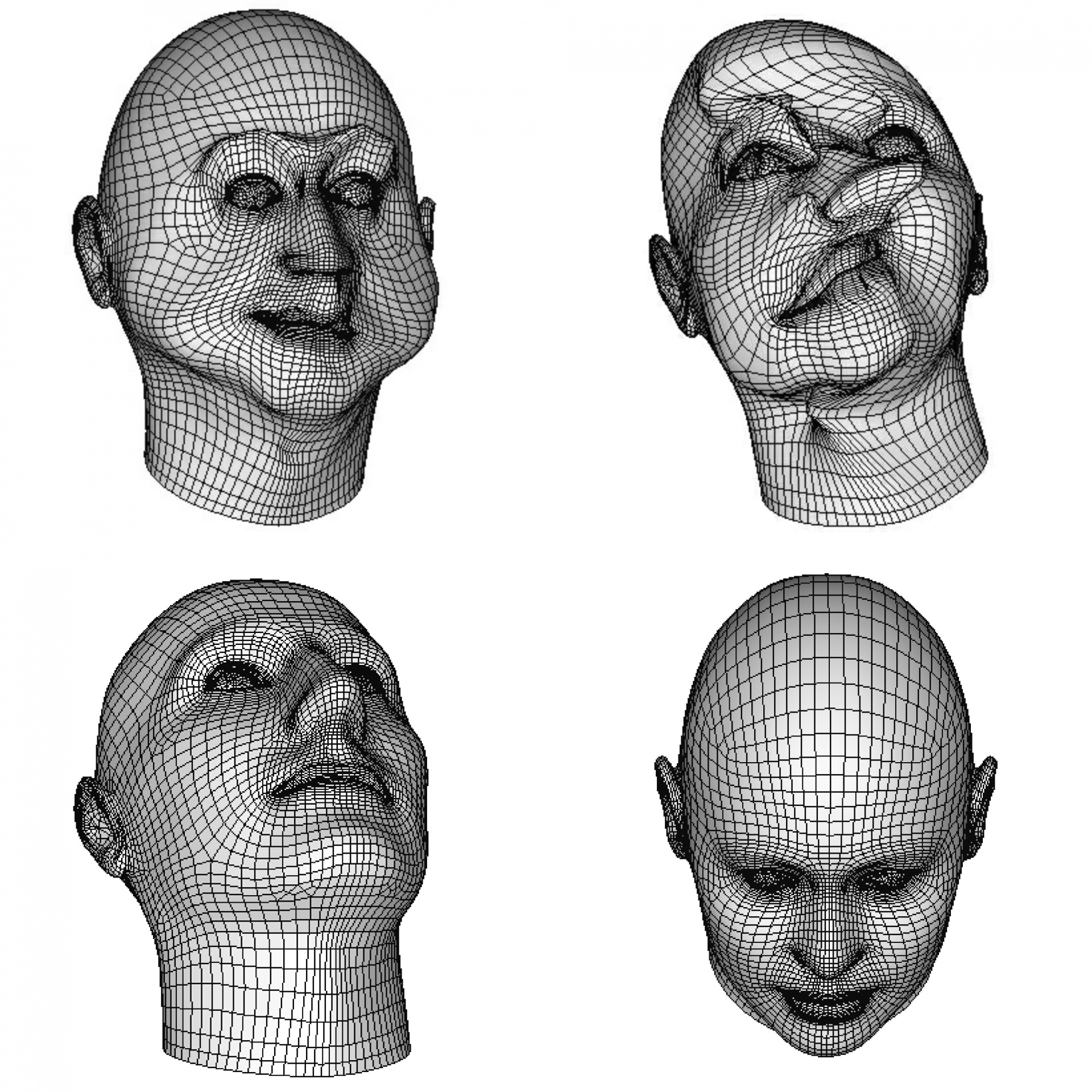 Nustatyti,  Grupė,  4,  Keturi,  Viela,  Tinklelis,  Veidai,  Skulptūra,  3D,  Piešimas