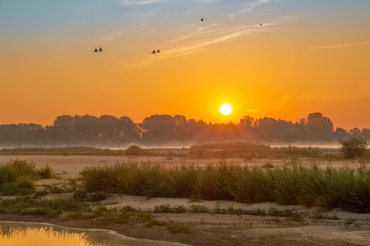 Wisla,  Sunrise,  Rytą,  Dawn,  Rūkas,  Dangus,  Upė,  Kraštovaizdis,  Pobūdį,  Vandens