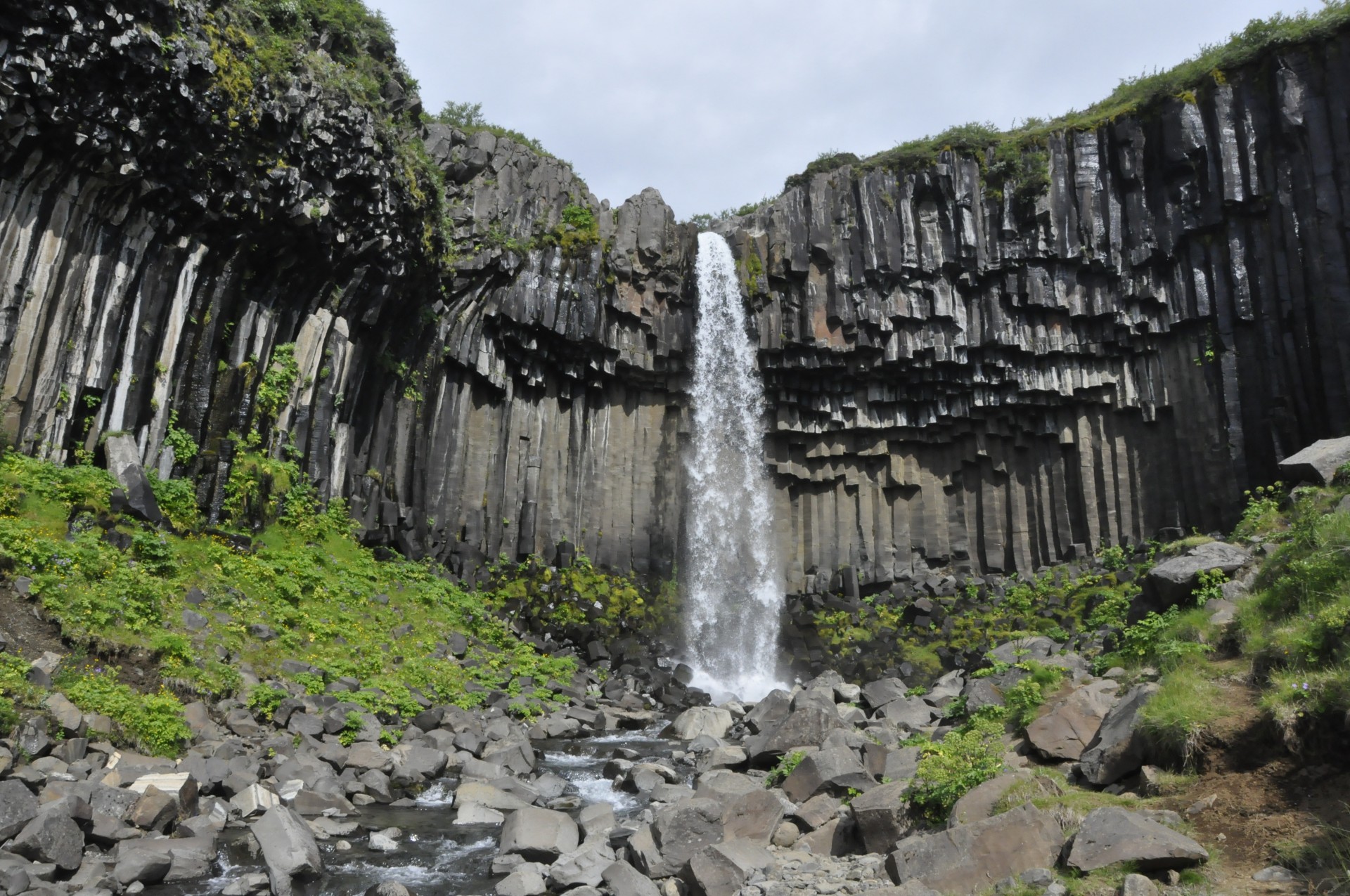 Krioklys,  Vanduo,  Organai,  Iceland,  Krioklys Svartifoss Saloje, Nemokamos Nuotraukos,  Nemokama Licenzija